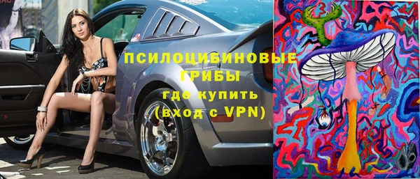 сатива Ладушкин
