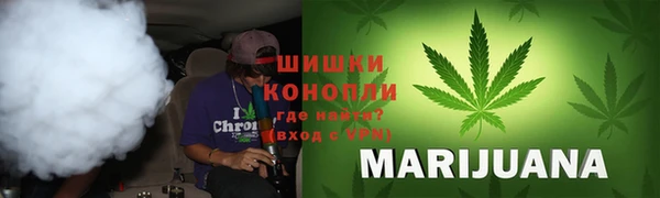 сатива Ладушкин